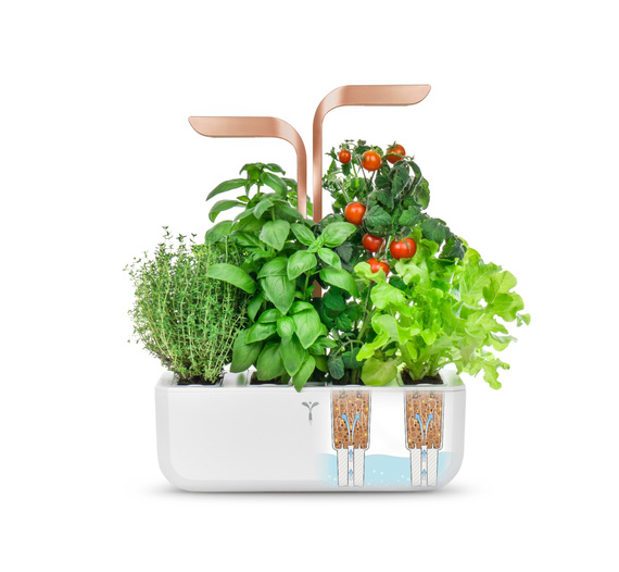 Véritable Smart White Copper