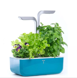 Veritable Smart Teal Blue