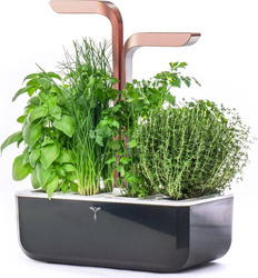 Veritable Smart Black&Copper