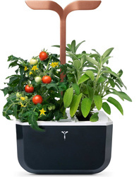 Veritable Exky Smart Copper