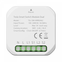 TESLA Smart Switch Module Dual