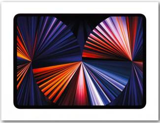 Displine Whiz (biały)