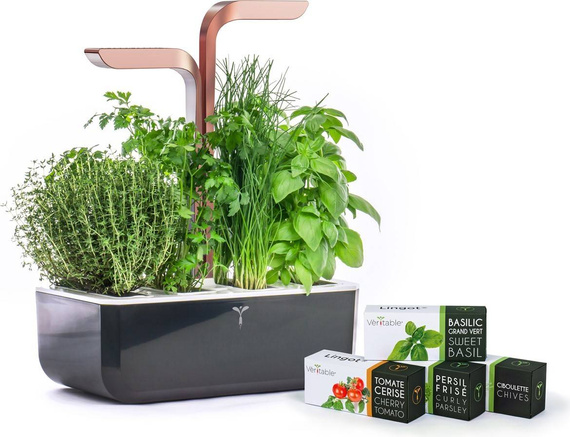 Veritable Smart Black&Copper