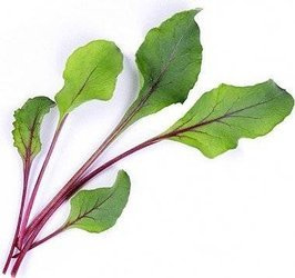 Veritable wkład nasienny Lingot - burak ćwikłowy