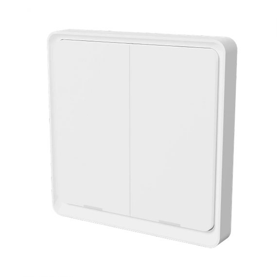 TESLA Smart Switch Dual ZigBee