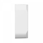 TESLA Smart Switch Module Dual