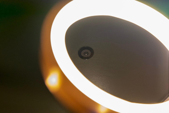 Faradite 360 Volt Free - czujnik ruchu (czarny)