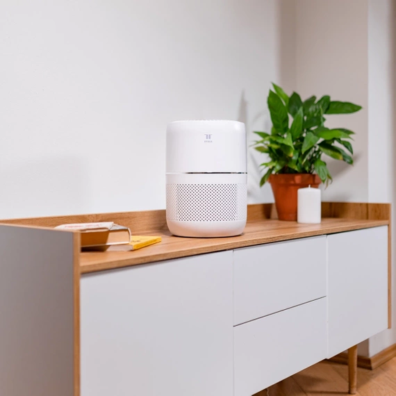 TESLA Smart Air Purifier Mini