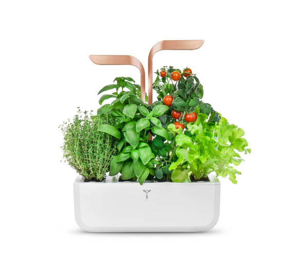 Véritable Smart White Copper