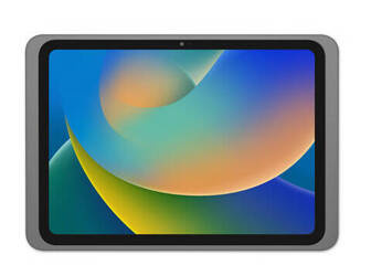 Displine Dame Wall 2.0 (tytanowy)