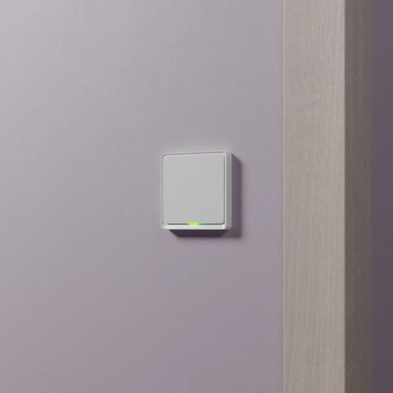 TESLA Smart Switch ZigBee