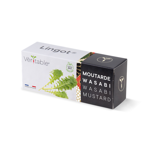 Wkład nasienny Lingot - musztardowiec wasabi