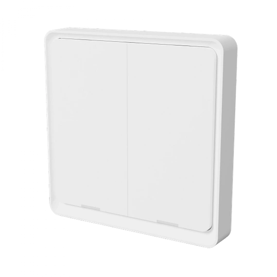 TESLA Smart Switch Dual Battery