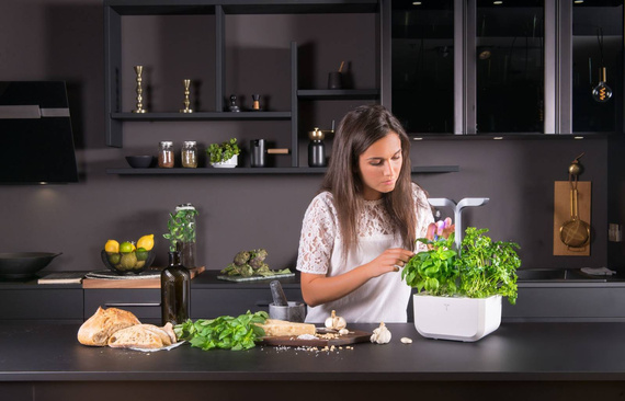 Veritable Exky Smart Copper