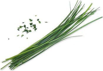 Veritable wkład nasienny Lingot czosnek bulwiasty