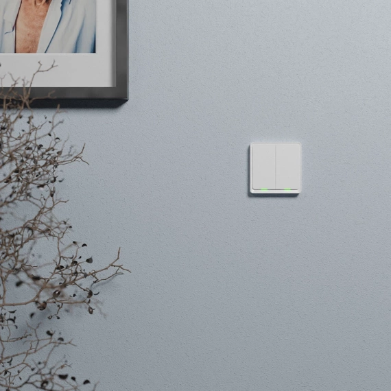 TESLA Smart Switch Dual ZigBee