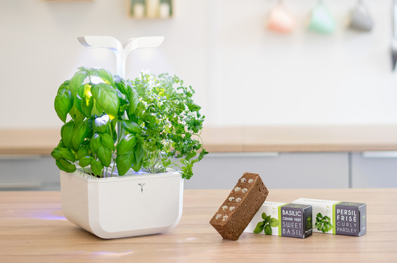 Veritable Exky Classic