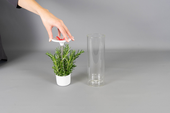 Veritable szklany pojemnik na zioła