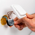 Shelly Qubino Wave 2PM