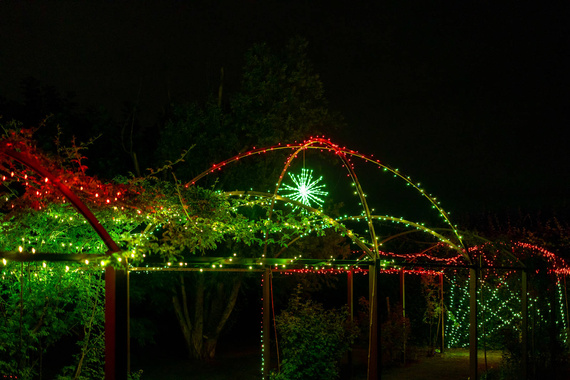 Dekoracja Twinkly Spritzer 200 LED RGB