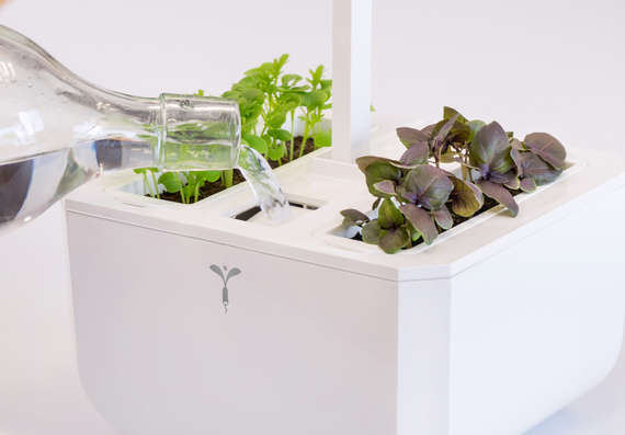 Veritable Exky Smart Copper