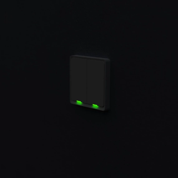 TESLA Smart Switch Dual Battery