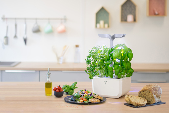 Veritable Exky Smart Copper