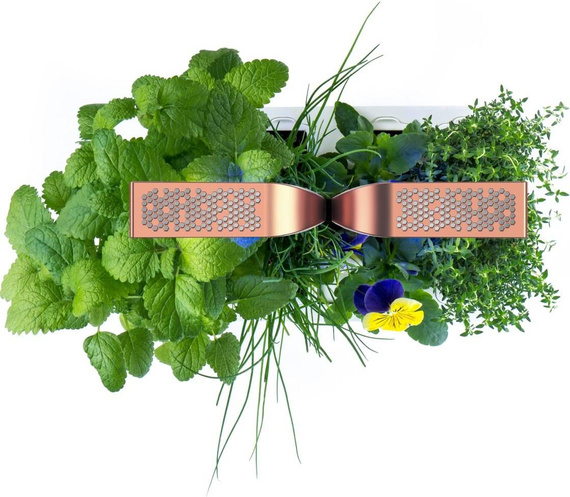 Veritable Smart Black&Copper