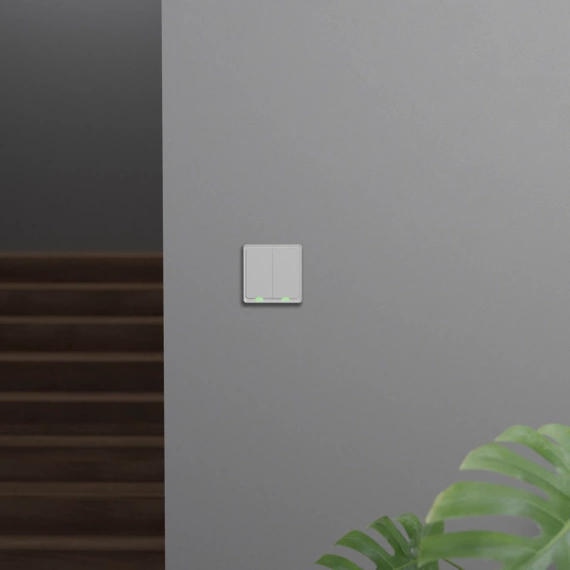 TESLA Smart Switch Dual ZigBee