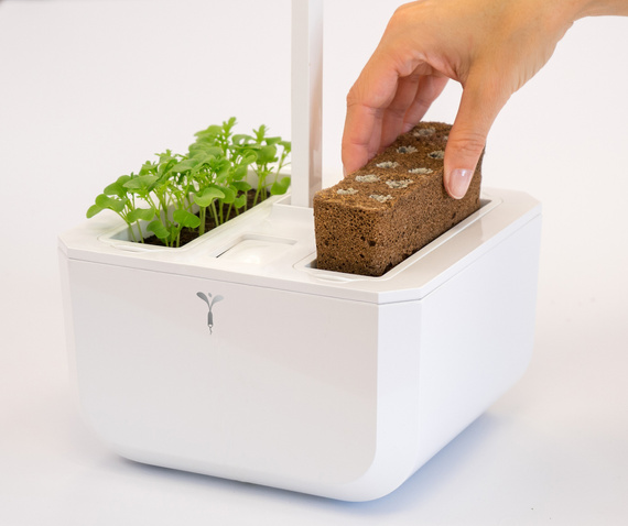 Veritable Exky Smart Copper