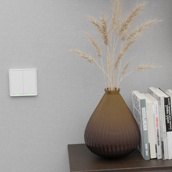 TESLA Smart Switch Dual ZigBee