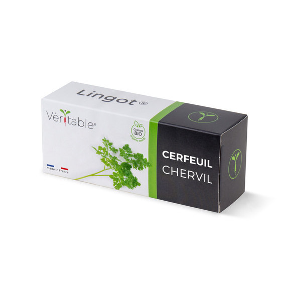 Wkład nasienny Lingot - tybula