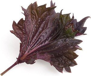 Veritable wkład nasienny Lingot - pachnotka czerwona