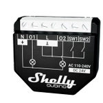 Shelly Qubino Wave 2PM