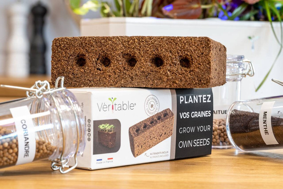 Wkład nasienny Lingot "Zasiej sam"