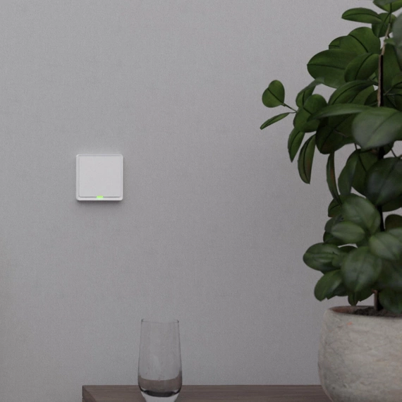 TESLA Smart Switch ZigBee