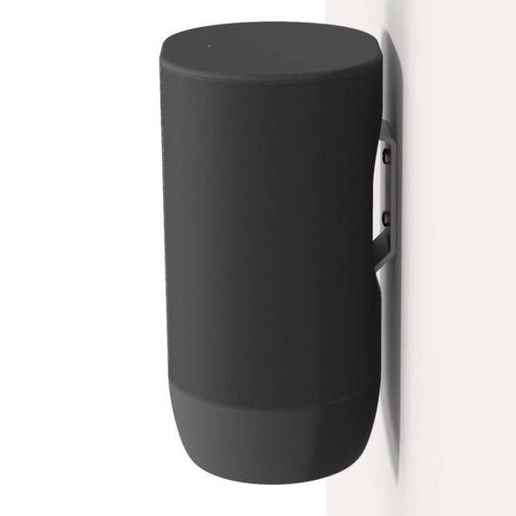 Cavus Wall Mount Move