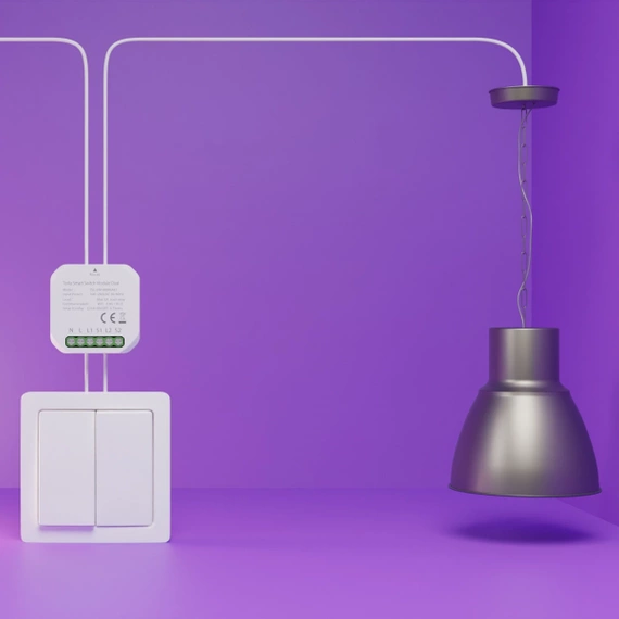 TESLA Smart Switch Module Dual