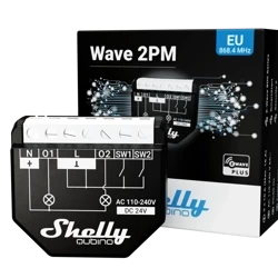 Shelly Qubino Wave 2PM