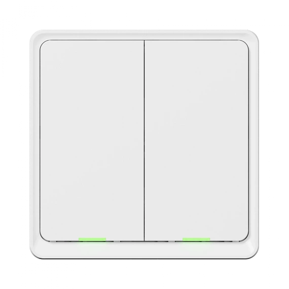 TESLA Smart Switch Dual ZigBee