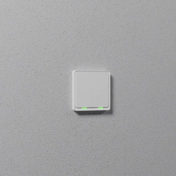 TESLA Smart Switch Dual ZigBee