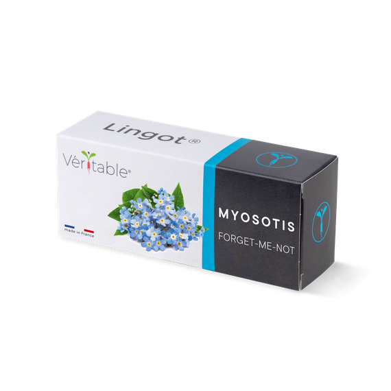 Wkład nasienny Lingot - niezapominajka