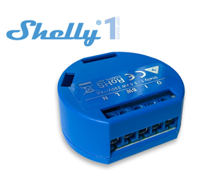 Shelly 1