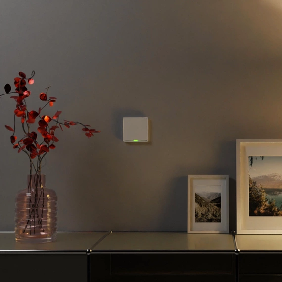 TESLA Smart Switch ZigBee