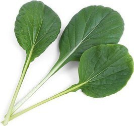 Veritable wkład nasienny Lingot - Tatsoi