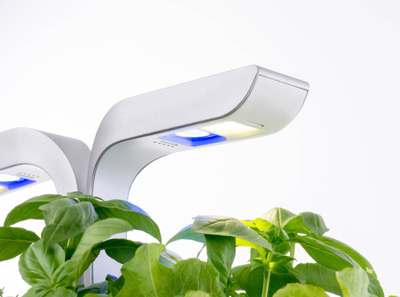 Veritable Smart Black&Copper