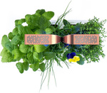 Veritable Smart Black&Copper