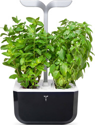 Veritable Exky Smart Soft Black