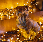 Gęsty łańcuch Twinkly Cluster 400 LED GOLD AWW