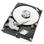Seagate Skyhawk 8 TB